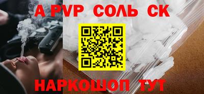 a pvp Камышлов